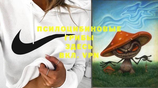 шишки Богданович